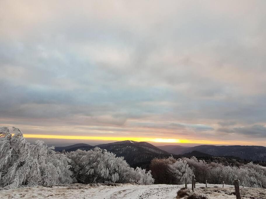 Maison Entre Ville Et Montagne Valdoie Dış mekan fotoğraf